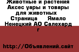 Животные и растения Аксесcуары и товары для животных - Страница 3 . Ямало-Ненецкий АО,Салехард г.